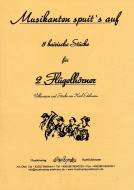 Musikanten spuit's auf 
