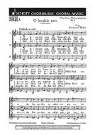 Vier kleine Weihnachtslieder Nr. 3 & 4 Download