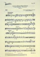 Blue Danube Op. 314 Download