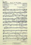 Rosen aus dem Süden op. 388 Download