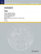 Trio en sol mineur op. 63 WeV P.14 Download