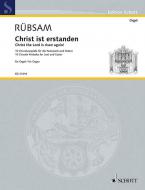 Christ the Lord is Risen Again! Download