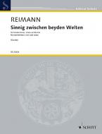 Sinnig zwischen beyden Welten Download