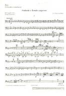 Andante and Rondo Ungarese Download