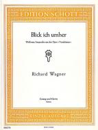Blick' ich umher Download