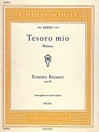 Tesoro Mio D Major Op. 228 Download