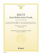Jésus que ma joie demeure BWV 147 Download