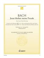 Jésus que ma joie demeure BWV 147 Download