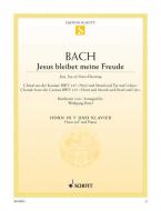 Jésus que ma joie demeure BWV 147 Download