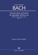 Regardez et voyez BWV 46 Download