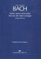 Sehet, welch eine Liebe hat uns der Vater erzeiget 