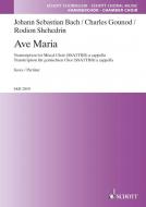 Ave Maria Download