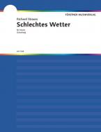 Selected Songs Op. 69/5 