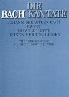 Du sollt Gott, deinen Herren, lieben 