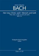 Herr Jesu Christ, wahr' Mensch und Gott Standard