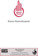 Kleiner Harmonikaspieler 