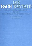 Schmücke dich, o liebe Seele Standard