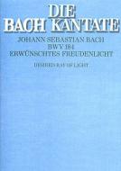 Erwünschtes Freudenlicht 