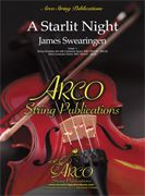 A Starlit Night 