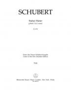 Stabat Mater en sol mineur D 175 
