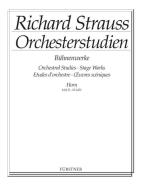 Orchestra Studies Vol. 2 Download