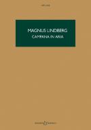 Campana in Aria 