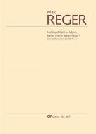 Choralphantasie 'Halleluja! Gott zu loben, bleibe meine Seelenfreud'! 