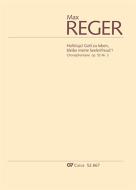 Choralphantasie 'Halleluja! Gott zu loben, bleibe meine Seelenfreud'! 