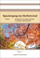 Spaziergang im Herbstwind 