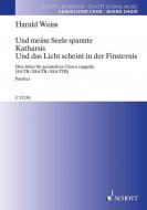 Und das Licht scheint in der Finsternis 