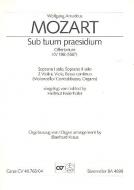 Sub tuum praesidium 