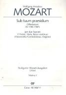 Sub tuum praesidium 