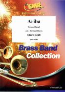 Ariba Download