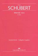 Intende voci D963 