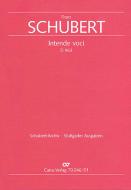 Intende voci D963 