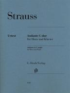 Andante in C major 
