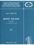 Petit Nuage 