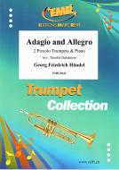 Adagio and Allegro Download