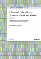 Jam non dicam vos servos Download