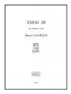 Essai 3 