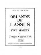 5 Motets from Magnus Opus Musicum 