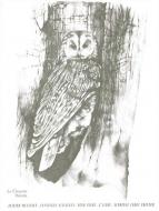 Catalogue D'Oiseaux, Pour Piano, Livre 3 