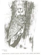Catalogue D'Oiseaux, Pour Piano, Livre 3 