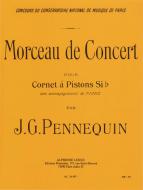 Morceau De Concert 