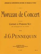 Morceau De Concert 