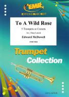 To A Wild Rose Standard