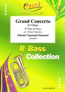Grand Concerto in F Major Download