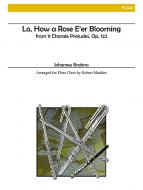 Lo, How a Rose E'er Blooming 