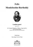 Laudate pueri op. 39, Nr. 2 