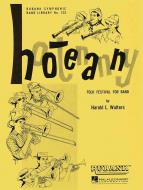 Hootenanny 